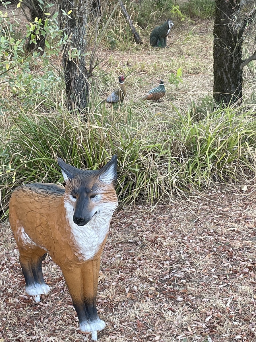 Entraînement 3D au Terrain