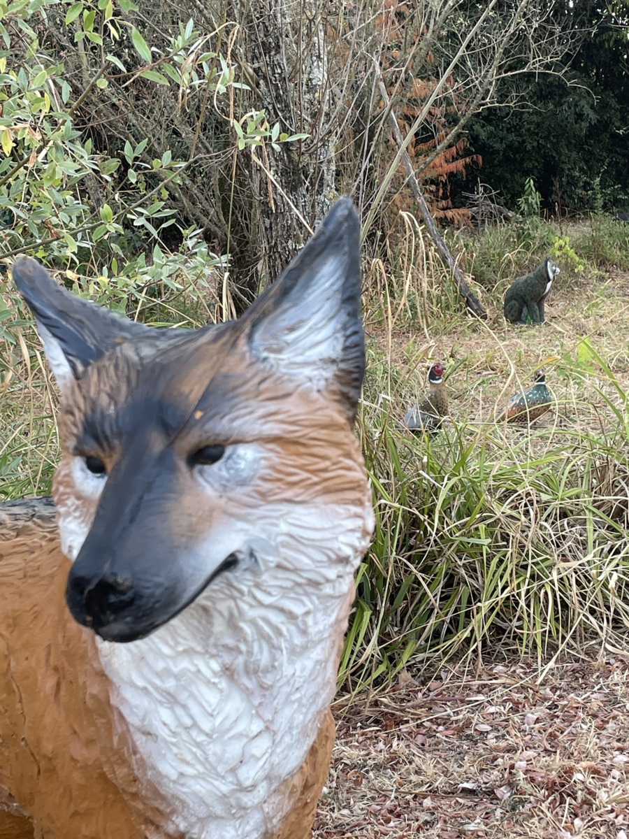 Entraînement 3D au Terrain