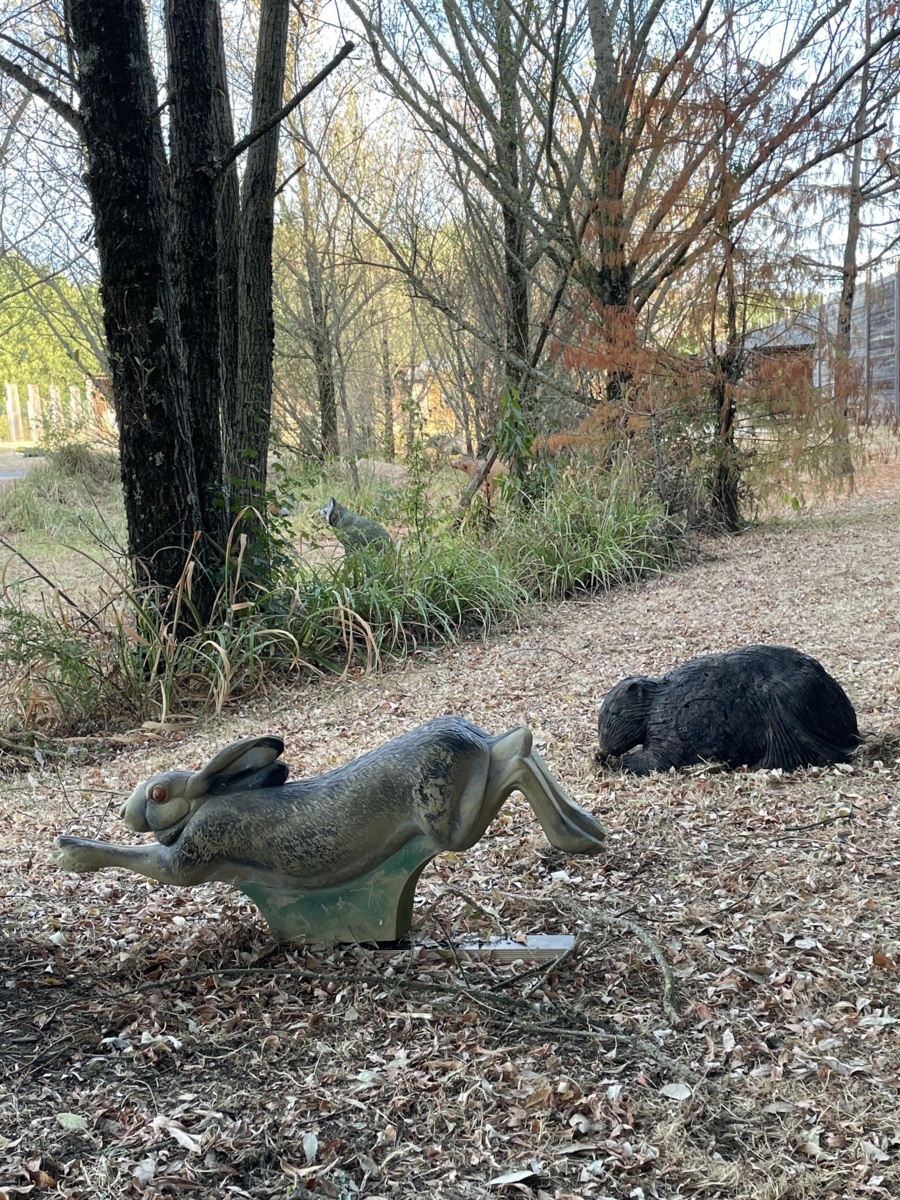 Entraînement 3D au Terrain